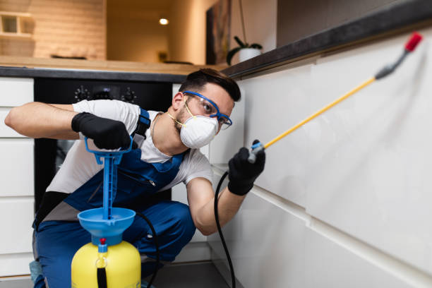 Best Termite Control Services  in Soda Springs, ID