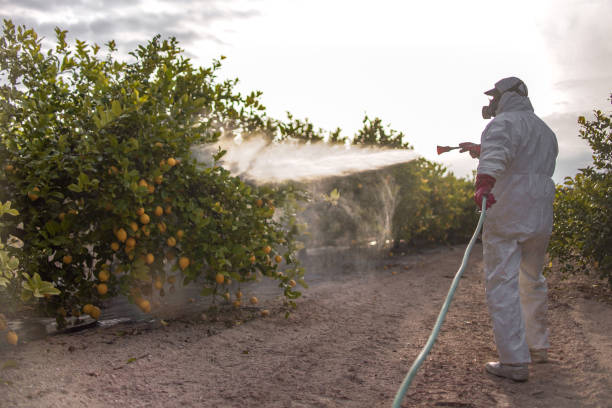 Best Bird Control  in Soda Springs, ID