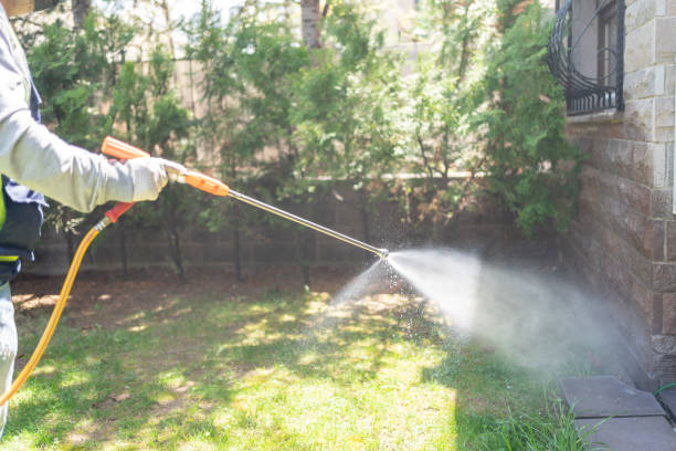 Best Local Pest Control Services  in Soda Springs, ID