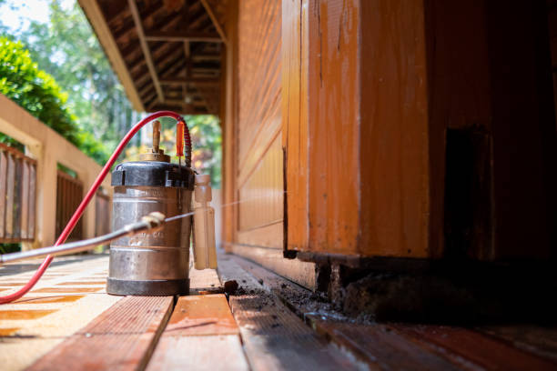 Best Cockroach Control Services  in Soda Springs, ID
