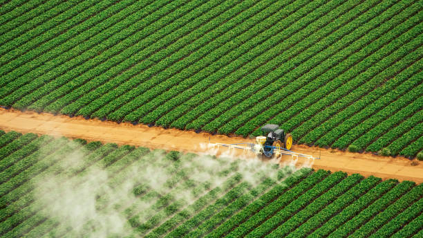 Best Ant Control Services  in Soda Springs, ID