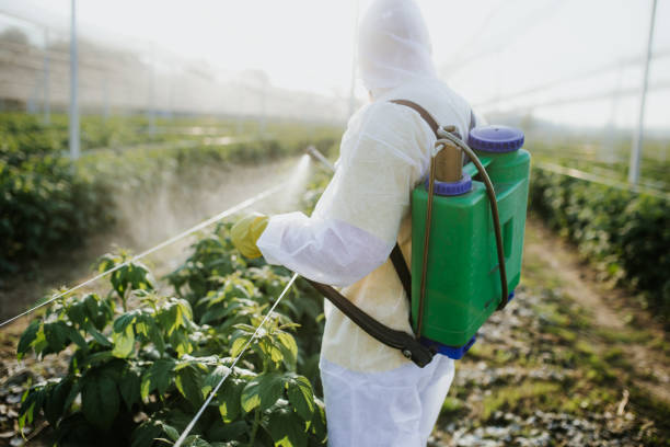  Soda Springs, ID Pest Control Pros